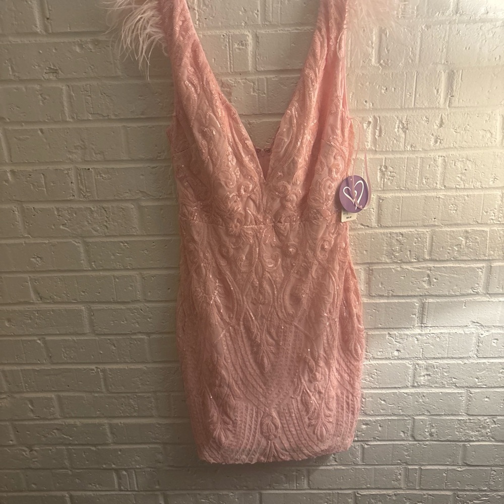 Windsor Pink Lace Dress